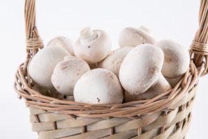 white button mushrooms in a wicker basket on white background nutrients from plants potassium
