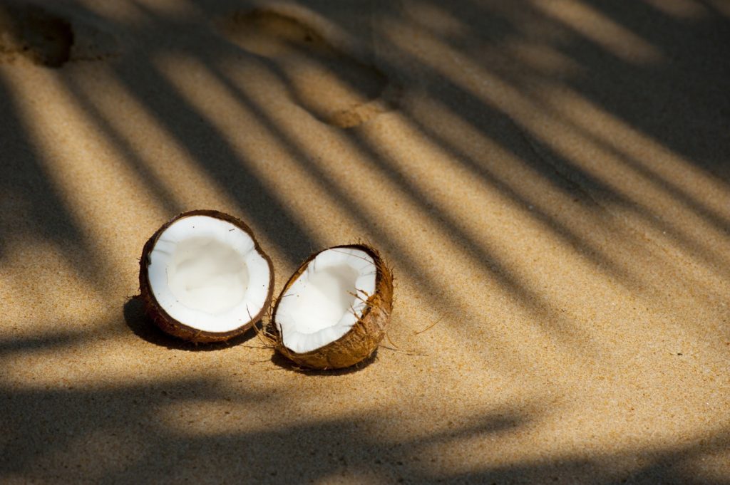 open brown coconut in sand natural products