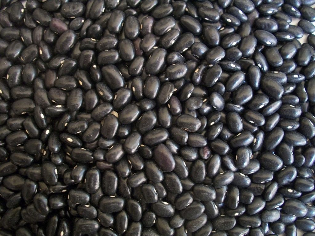 dry uncooked black beans - foods i avoid